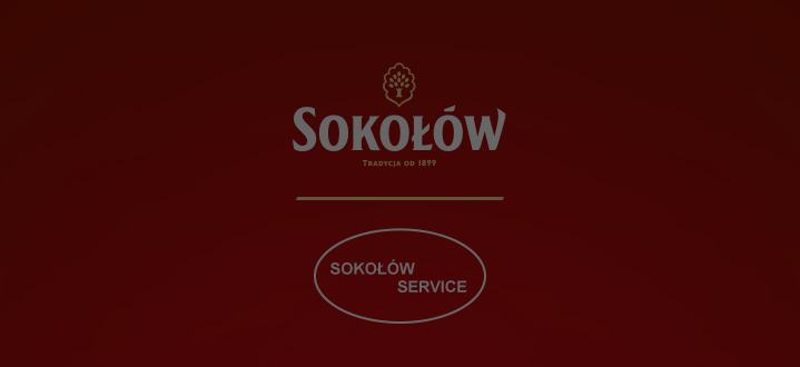 Plan połączenia spółek