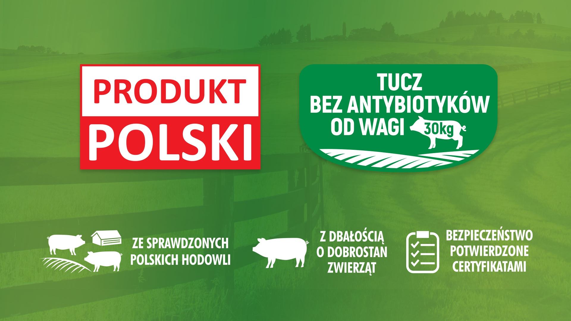 New products from Sokołów