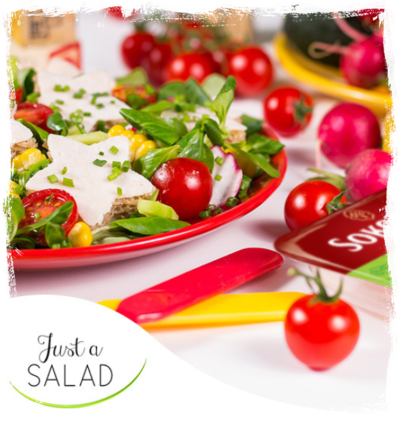 HAM SALAD FOR KIDS